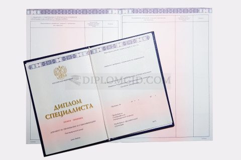 Подробнее о дипломах о высшем образовании диплом ИПП